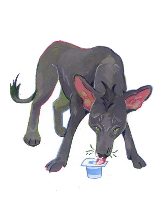 doggust 2025