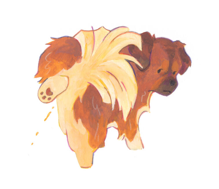 doggust 2025