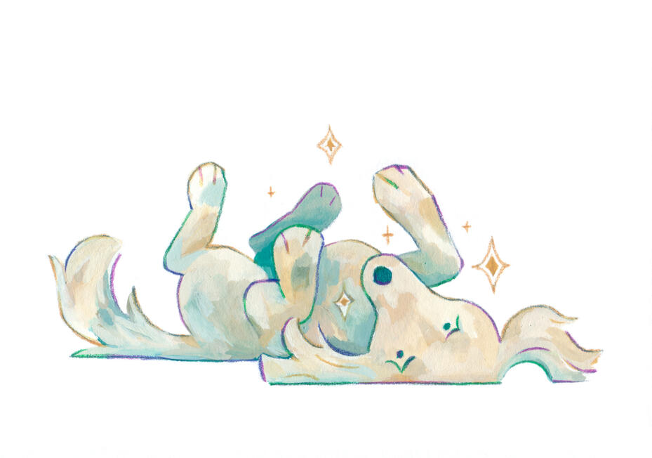 doggust 2025