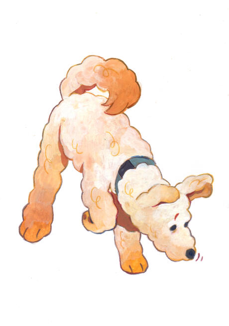 doggust 2025